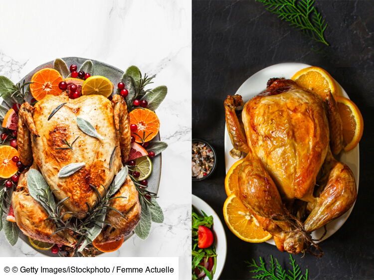 Dinde Ou Chapon : Quelle Volaille Choisir Pour Votre Repas De Fêtes ...