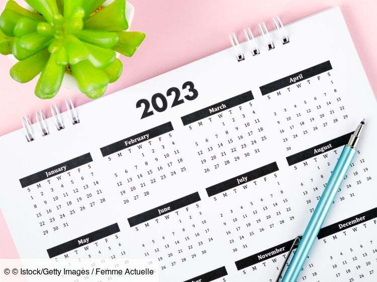 CAF : le calendrier des paiements 2023 (APL, RSA...) : Femme Actuelle