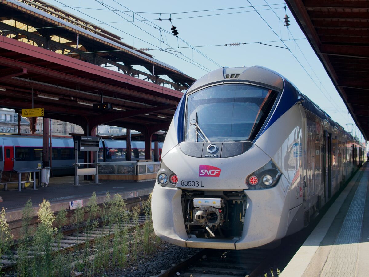 Grève SNCF : avec la réforme des retraites, le trafic va être"très fortement perturbé" mardi 31 janvier