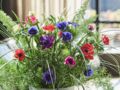 Bouquet de fleurs : quelles sont les fleurs de saison en janvier, février et mars ?