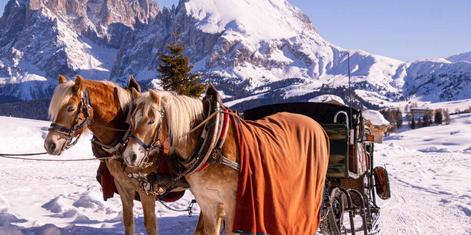 4 expériences inédites pour découvrir les Dolomites en famille