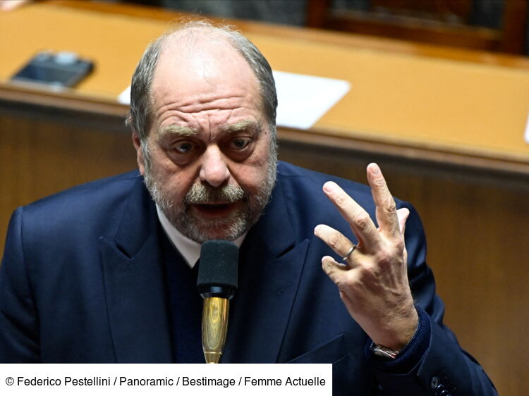 Éric DupondMoretti agacé, le ministre de la Justice fait deux bras d
