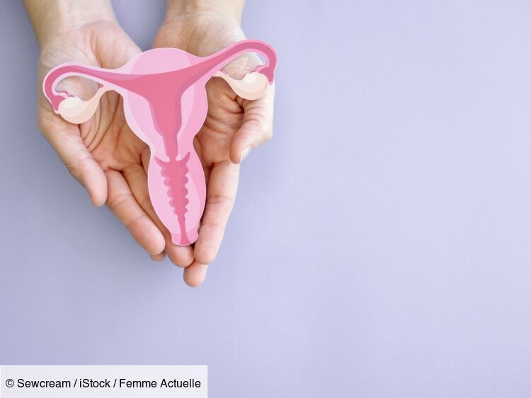 endometriose-un-medicament-prometteur-bientot-teste-par-des-chercheurs.jpeg