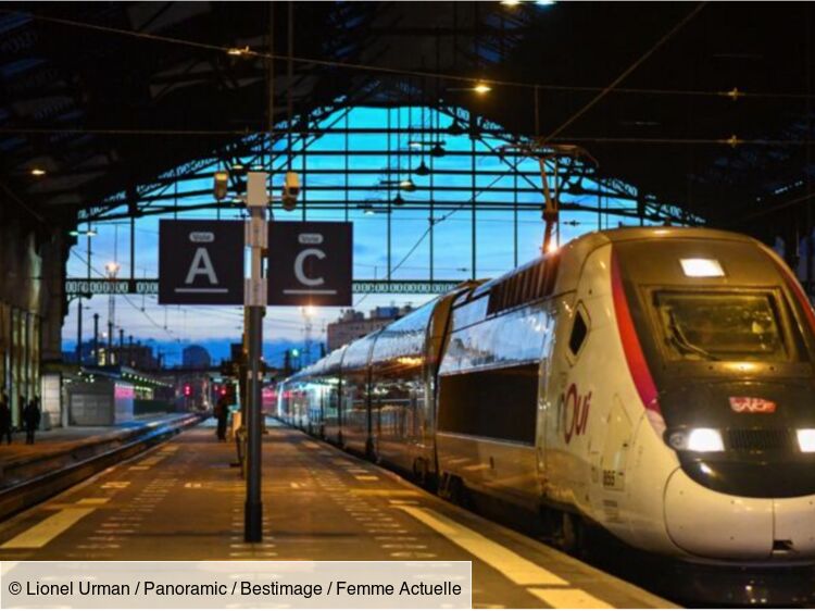 Réforme des retraites : Ouigo, Transilien… Le trafic de la SNCF "très perturbé"