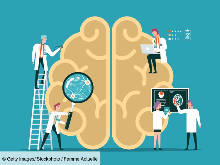 Mémoire, apprentissage : 5 découvertes étonnantes sur le cerveau