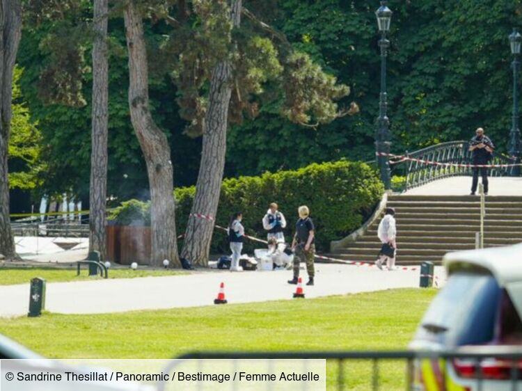 Attaque au couteau à Annecy : le témoignage déchirant d'un membre de la famille de deux enfants touchés