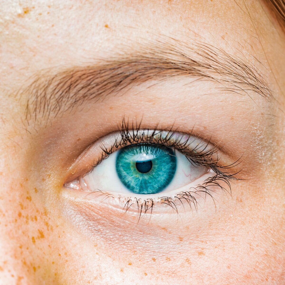 Genetique yeux : les points importants à savoir