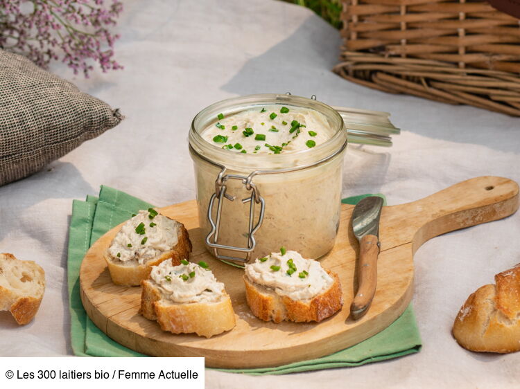 Rillettes de thon au yaourt rapide découvrez les recettes de cuisine de Femme Actuelle Le MAG