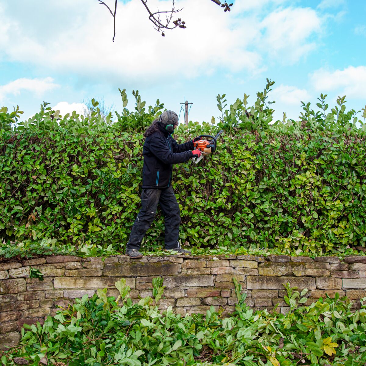 Couper Les Branches Des Arbres Avec Des Ciseaux. Travaux De Printemps Dans  Le Jardin, Le Jardinier S'occupe Des Arbres Banque D'Images et Photos  Libres De Droits. Image 115443883