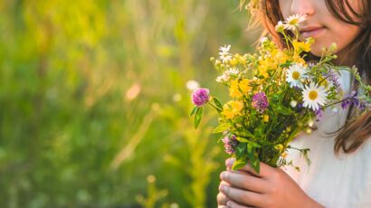 Les fleurs sauvages, belles et faciles à vivre : Femme Actuelle Le MAG