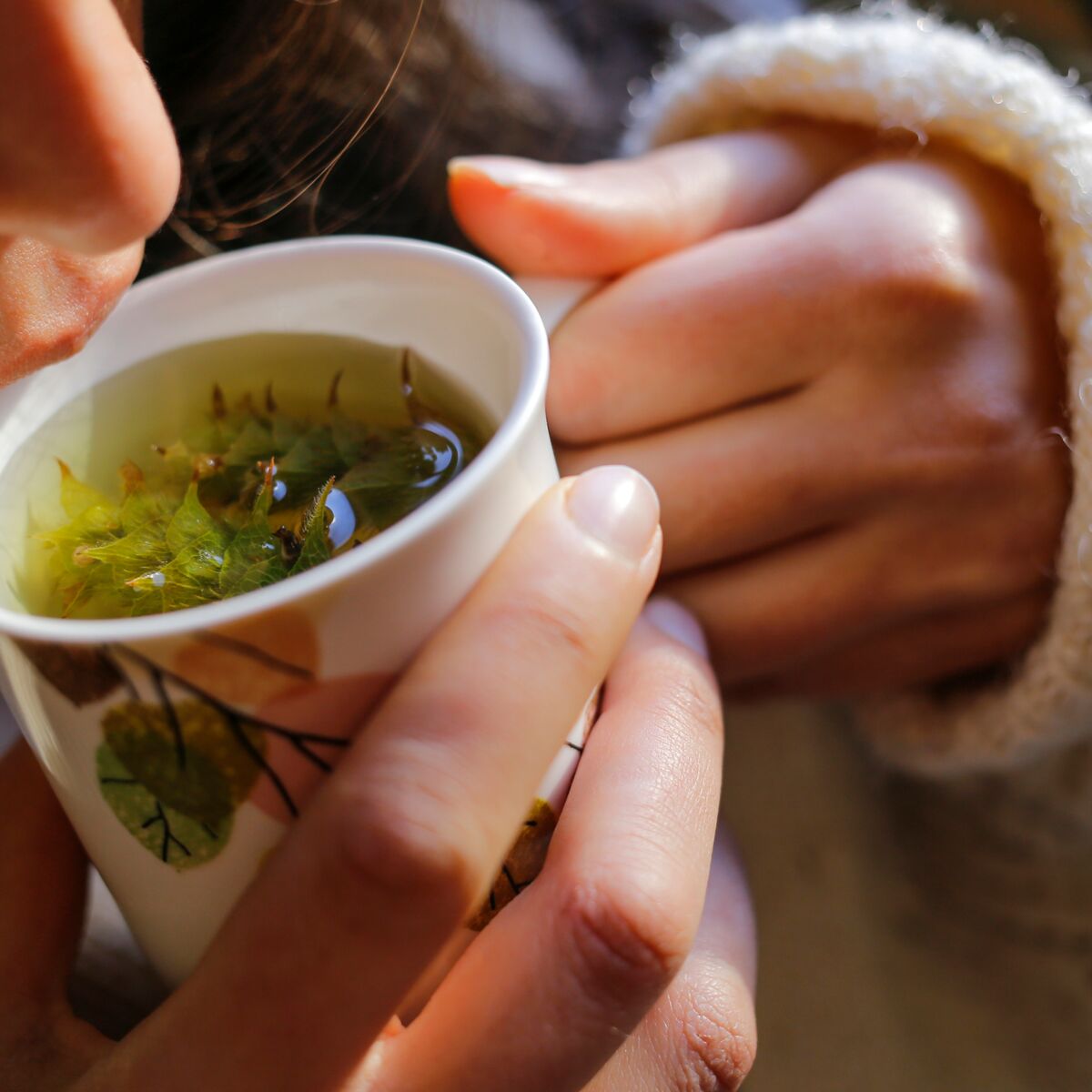 Théière Avec Infuseur Pour Camomille, Tisane, Verveine,ginseng