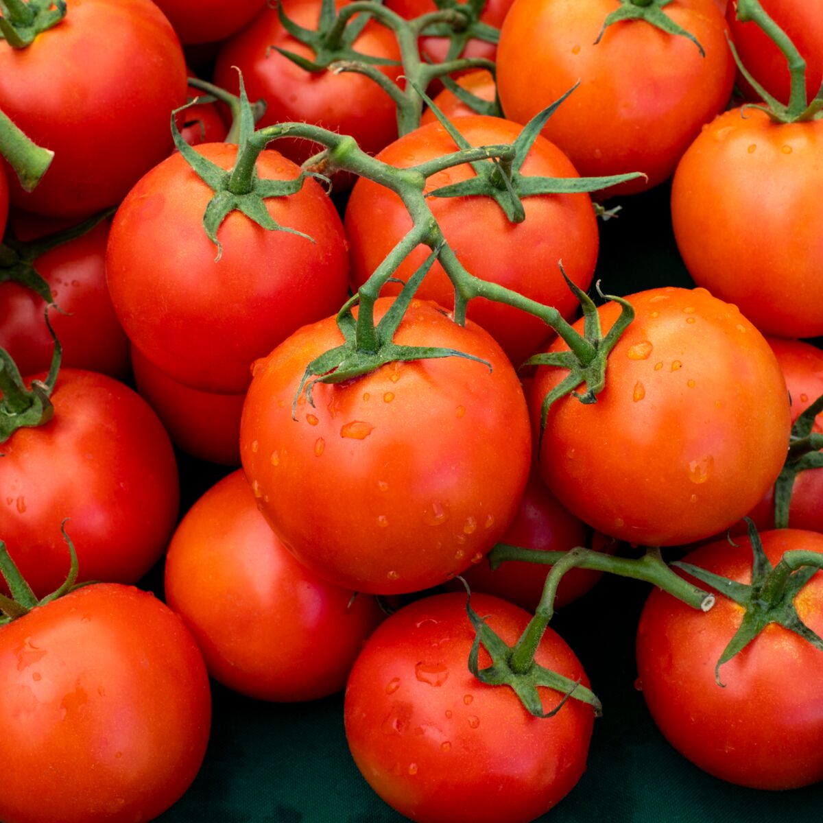 Comment conserver vos tomates?