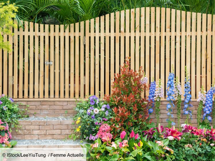 Balcon, toit, jardin… Comment éloigner les pigeons ? : Femme Actuelle Le MAG