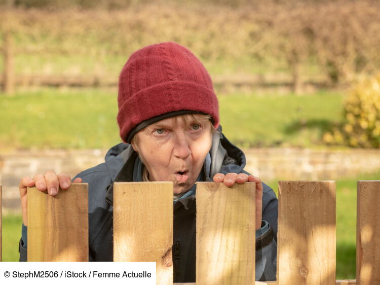 Mur de séparation, grillage : quelles sont les règles à respecter entre ...