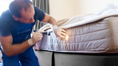 Punaises de lit : plus d'un foyer sur 10 sont infectés, comment s'en  débarrasser sans tout jeter ?