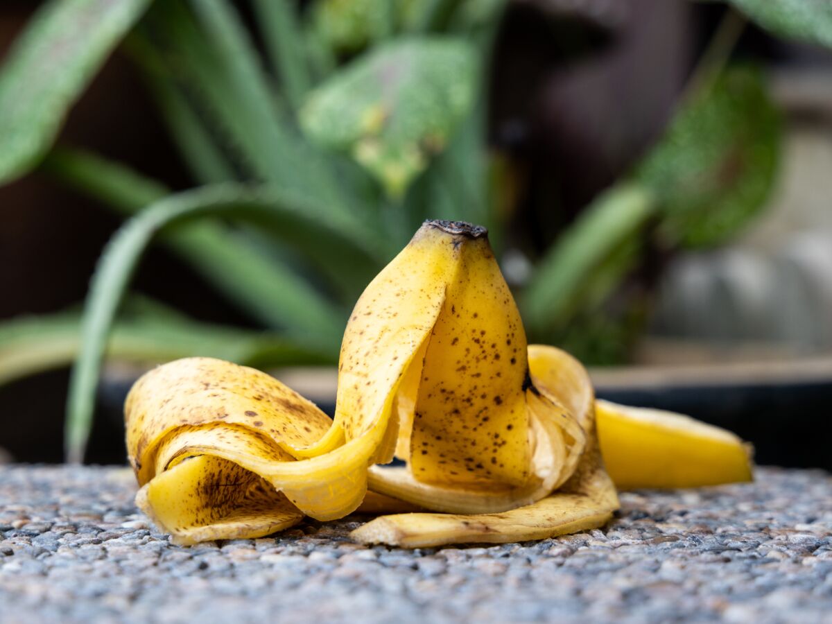 L'astuce de folie pour garder ses bananes plus longtemps : Femme Actuelle  Le MAG