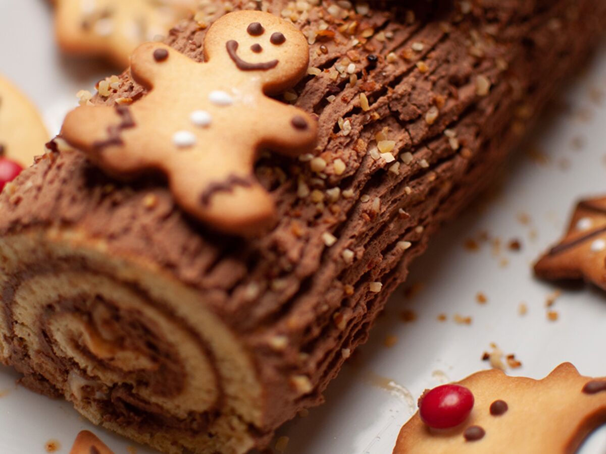 Chocolate Yule log (Bûche de Noël) - Les Chats Gourmets - Recettes de  cuisine