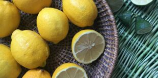 Le citron, un agrume qui réveille (presque) tous les plats !