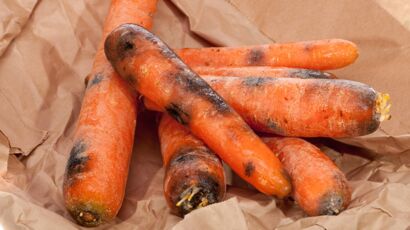 3 manières de râper des carottes - wikiHow