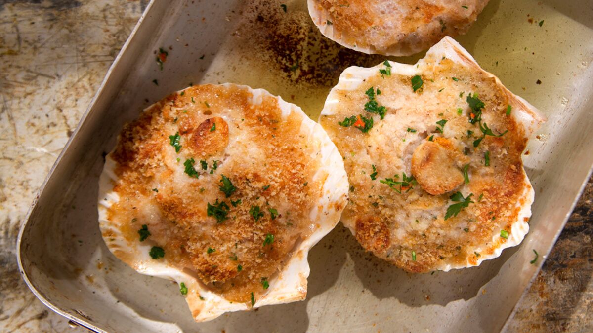 En entrée, vous prendrez bien mes Saint-Jacques gratinées