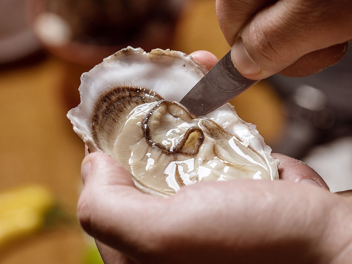 Comment ouvrir une huître facilement