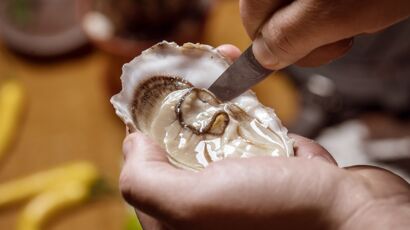 Les étonnantes astuces des écaillers pour ouvrir les huîtres facilement et  sans risque ? - NeozOne