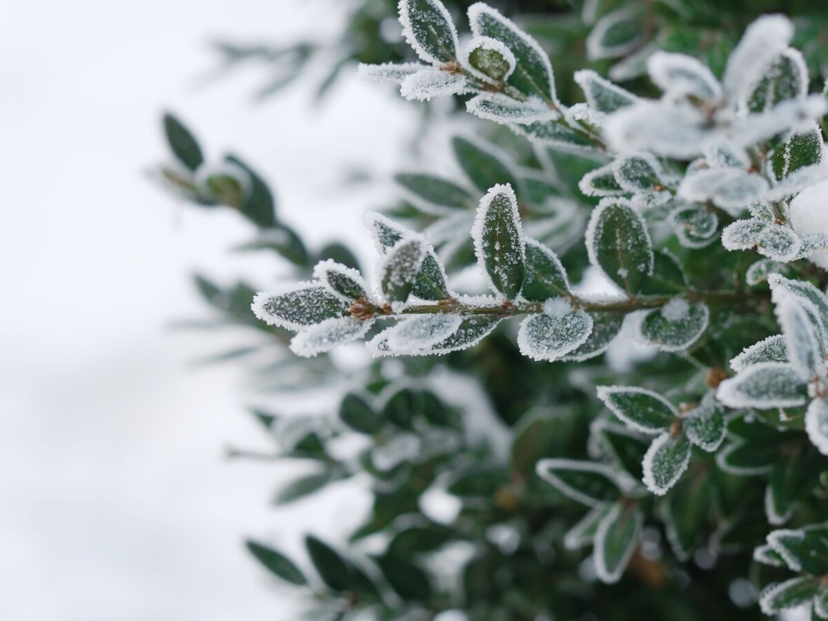 Comment enlever la neige et le verglas en hiver ? Pelle, sel