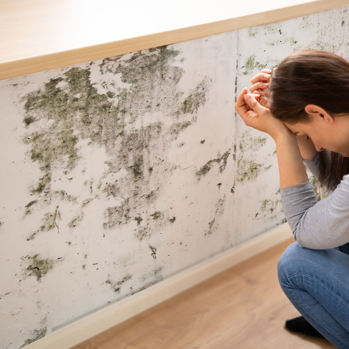 Moisissure sur mur et plafond : comment l'enlever grâce à ce spray  fait-maison : Femme Actuelle Le MAG