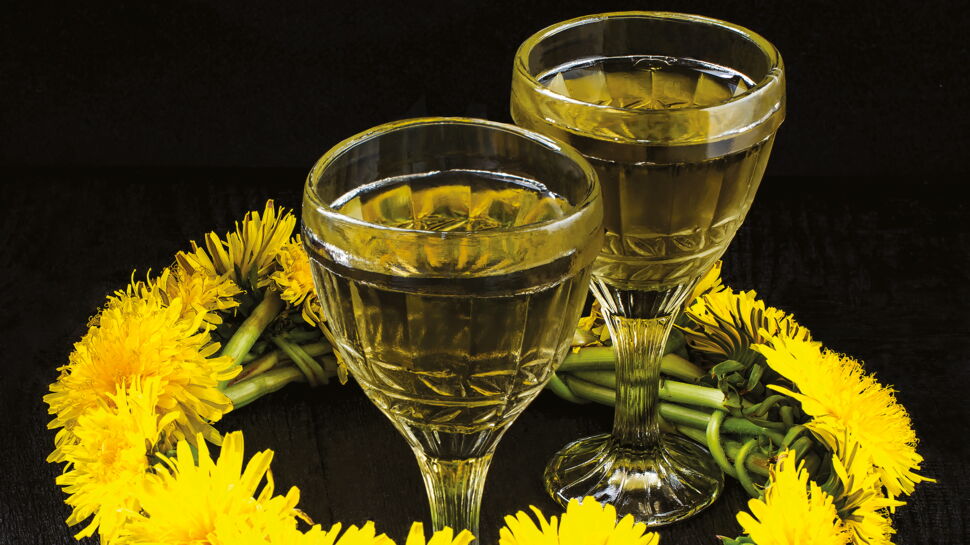 Vin De Pissenlit Rapide D couvrez Les Recettes De Cuisine De Femme Vin De Pissenlit Rapide D couvrez Les Recettes De Cuisine De Femme