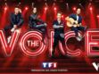 “The Voice” 2021 : un candidat exclu de l'émission de TF1