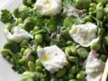 Salade de fèves et pois à la burrata