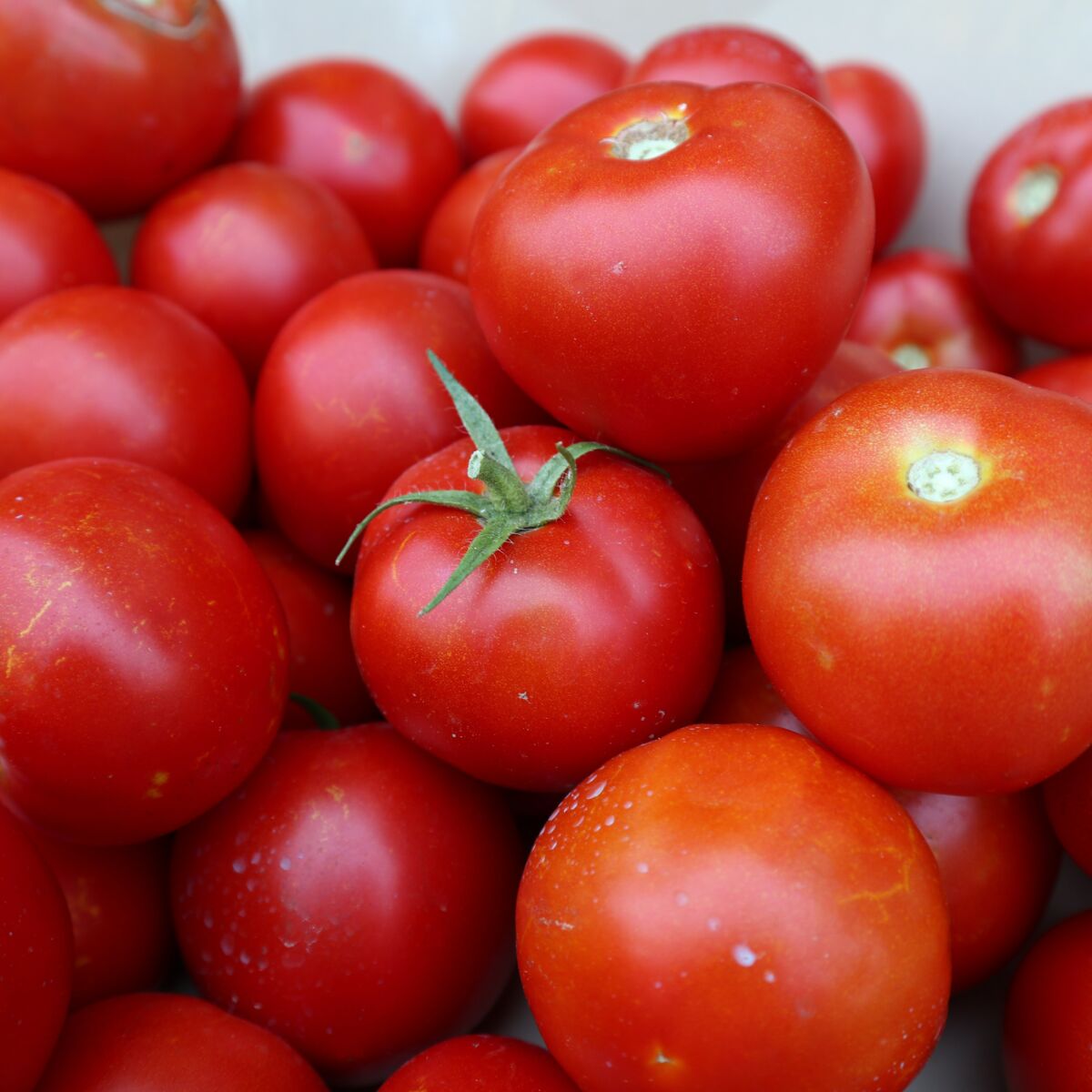 Jai trop de tomates : 5 idées gourmandes pour les utiliser dans mes  recettes : Femme Actuelle Le MAG