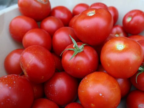 Toutes nos recettes d'été à la tomate à déguster sans plus tarder