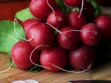 3 recettes gourmandes (et anti-gaspi) avec des fanes de radis