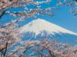 Voyage au Japon : à la découverte du mont Fuji