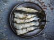 5 idées recettes avec des sardines