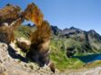 Voyage en France : découvrez le Mercantour, une montagne très nature