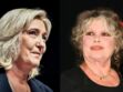 Marine Le Pen : ce cadeau symbolique de Brigitte Bardot qui trône dans son bureau