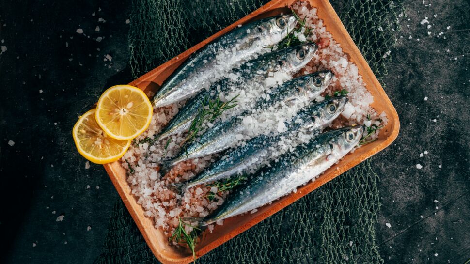 Sardines : 10 recettes minceur à préparer en quelques minutes avec une conserve