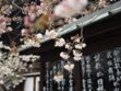 5 secrets bien-être à piquer aux Japonais