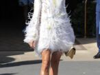 Céline Dion en robe blanche à plumes