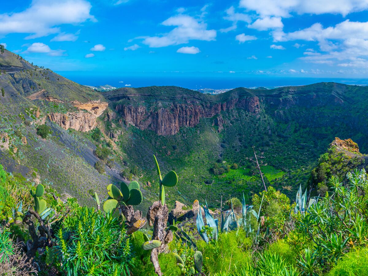 Grande Canarie : zoom sur des paysages haut en couleur : Femme Actuelle Le  MAG