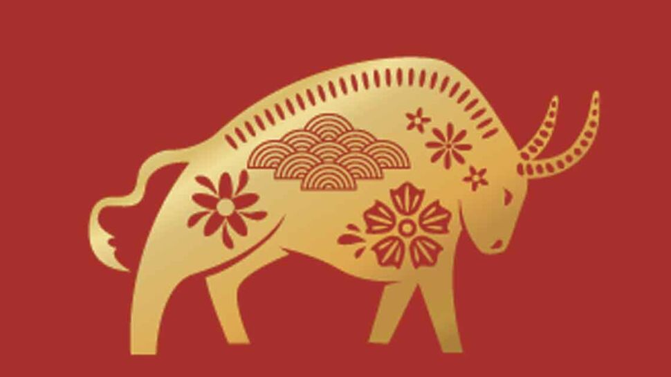 Horoscope chinois du mois de février 2022 pour le Boeuf ou Buffle : les prévisions de notre astrologue spécialisée