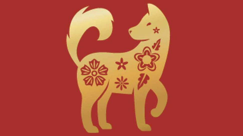 Horoscope chinois du mois de février 2022 pour le Chien : les prévisions de notre astrologue spécialisée