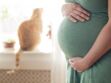 Toxoplasmose pendant la grossesse : risques, symptômes, causes et comment l'éviter