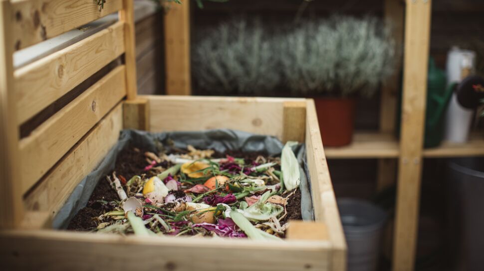 Quels sont les aliments à ne jamais mettre au compost ?