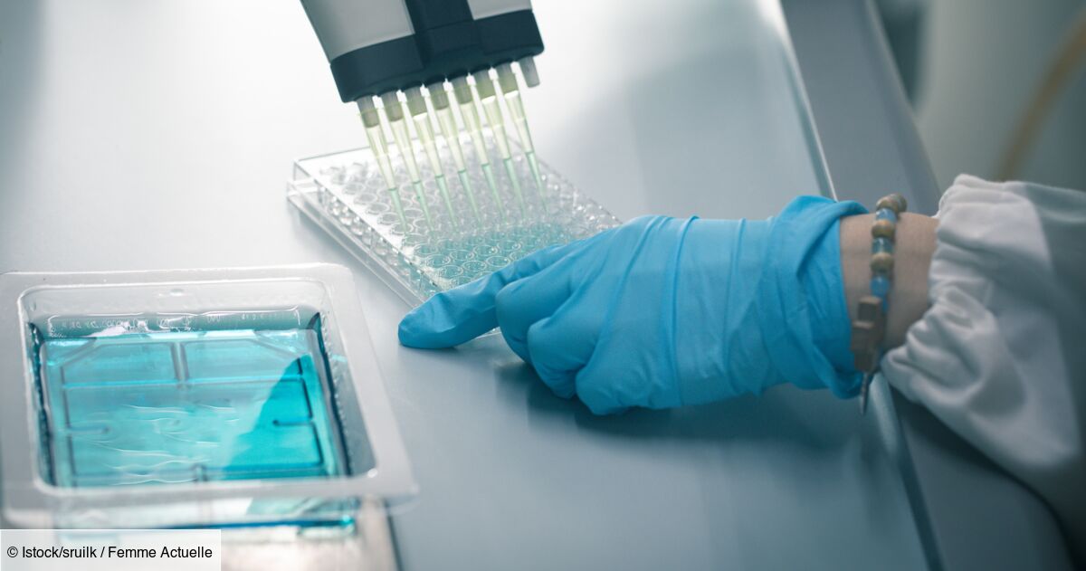 Test elisa : intérêts, déroulement et résultats