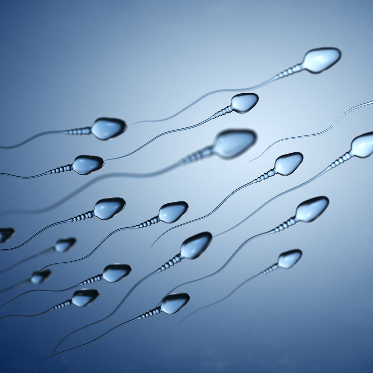 Spermocytogramme : utilité, déroulement et lecture des résultats ...