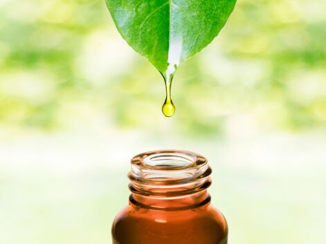 Migraine, maux de ventre… les meilleures huiles essentielles antidouleur et comment les utiliser ? 