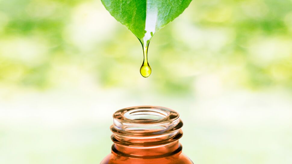Migraine, maux de ventre… les meilleures huiles essentielles antidouleur et comment les utiliser ? 